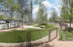Hall Park Dog Park 2