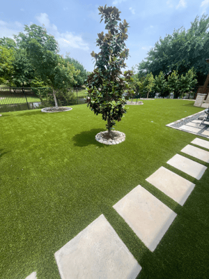Jennifer Wu Backyard 1