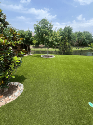 Jennifer Wu Backyard 2