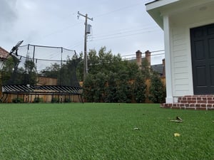IMG_0639