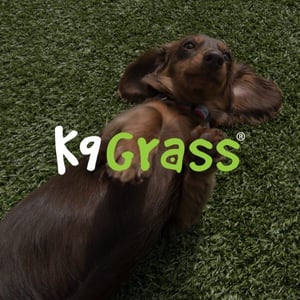 fltx-k9grass2