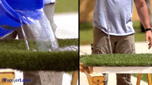 Jason Cameron K9Grass Artificial Turf
