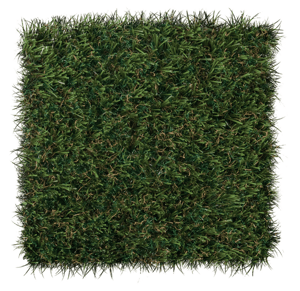 sportsgrass-max