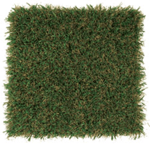 Playground-Grass-Academy (1)