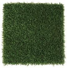 Playground-Grass-Discovery (1)