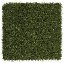 Playground-Grass-Ultra (1)